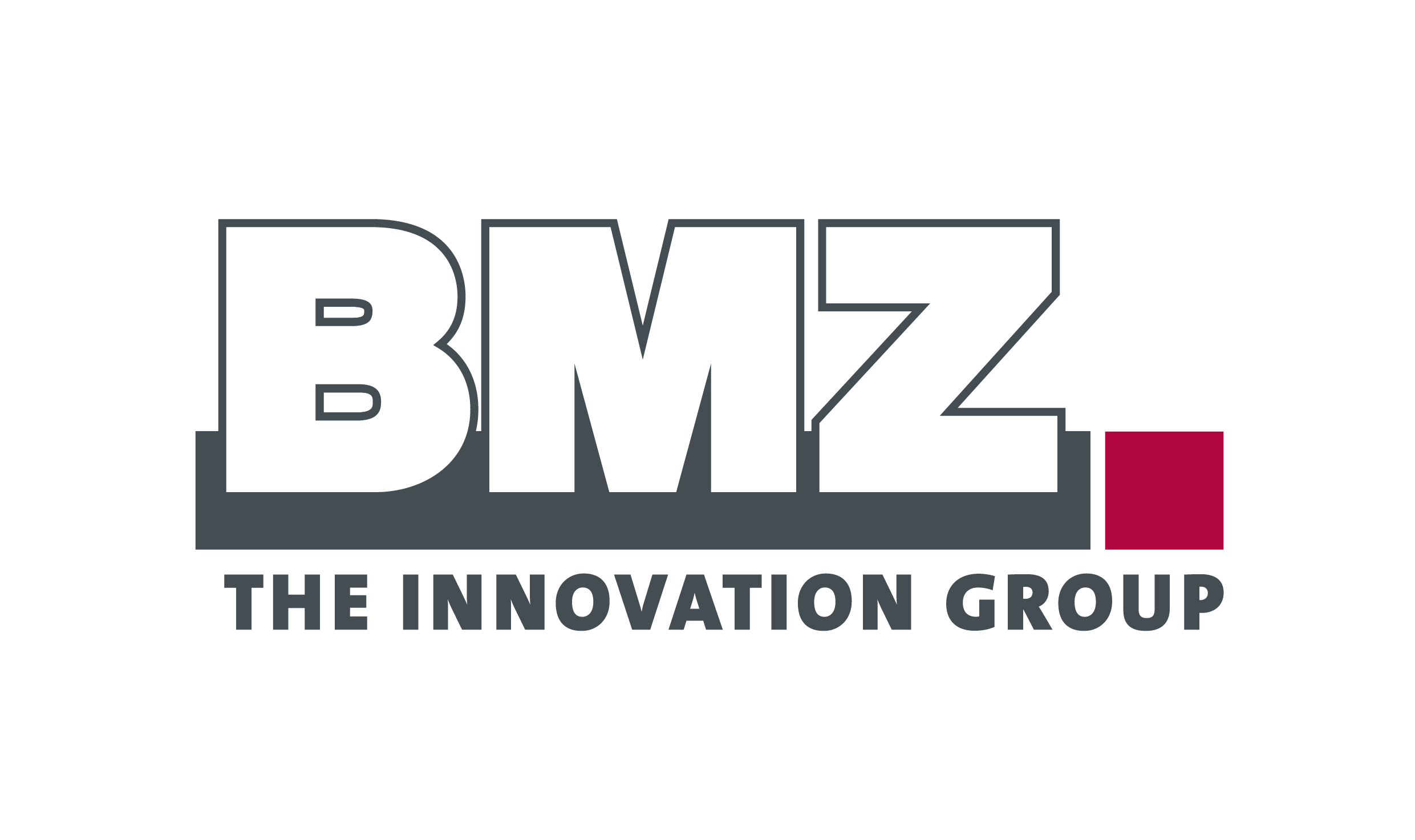 BMZ The innovation group logo